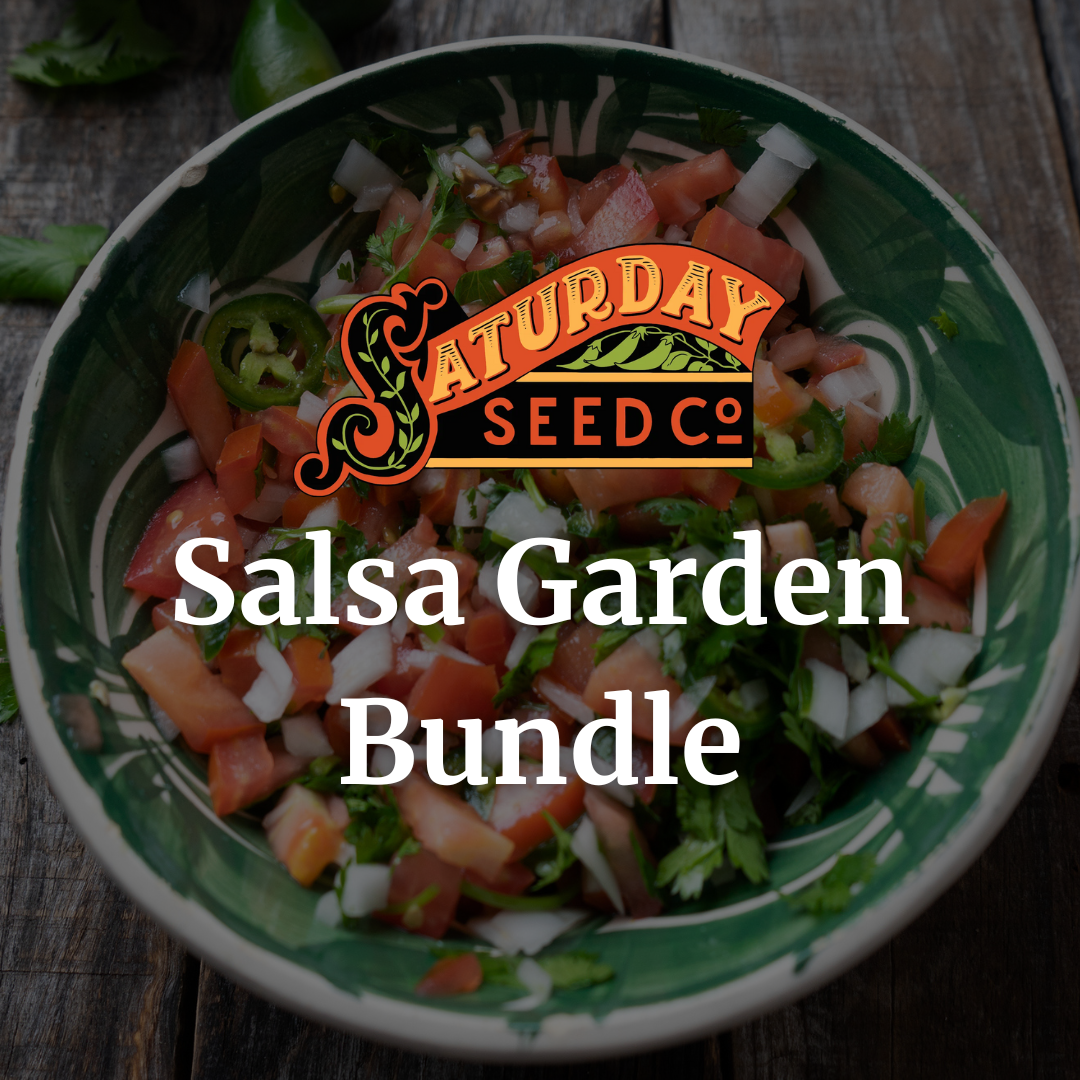 Salsa Garden Bundle