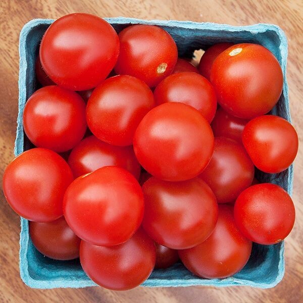 Bing Cherry Tomato - Organic