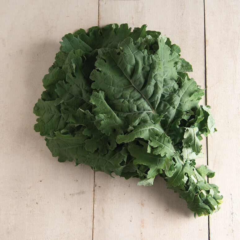 White Russian Kale - Organic