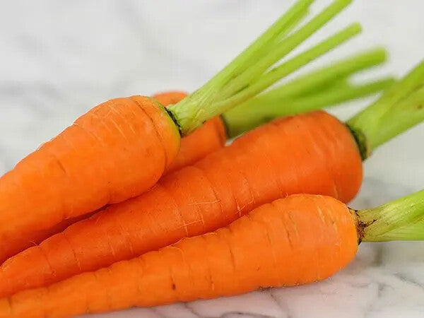 Danvers Carrot - Organic