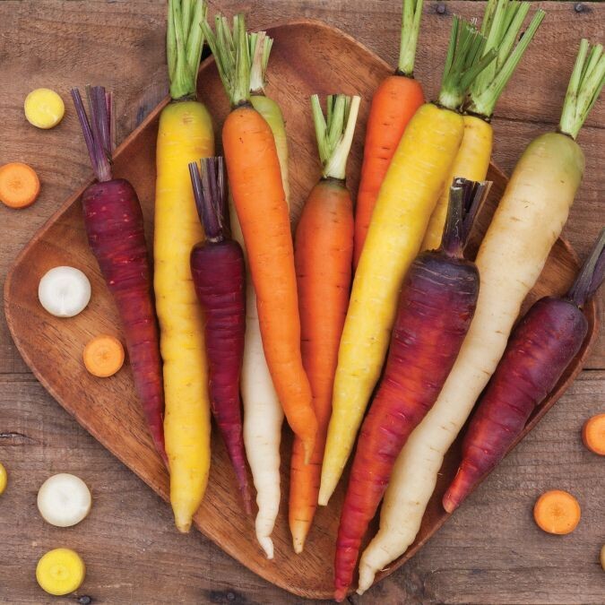 Starburst Carrot Blend - Organic