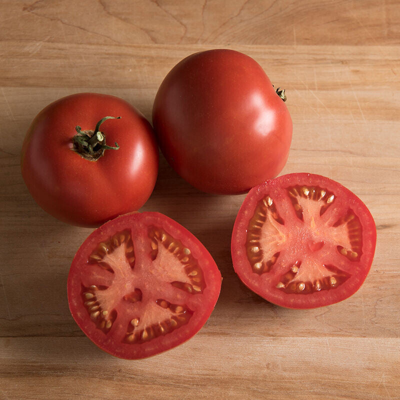 Nepal Tomato - Organic