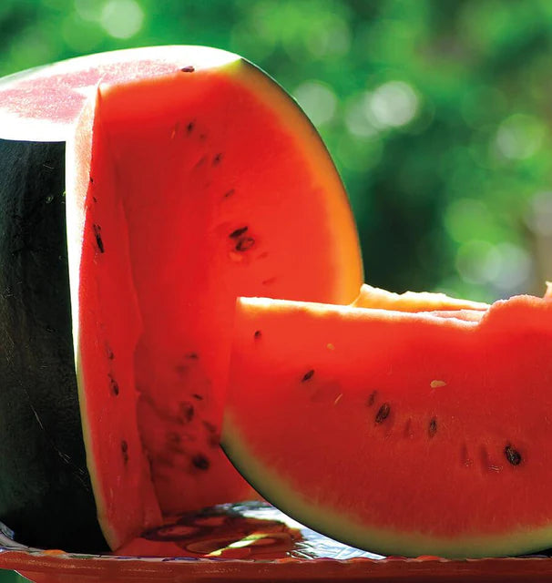 Suger Baby Watermelon