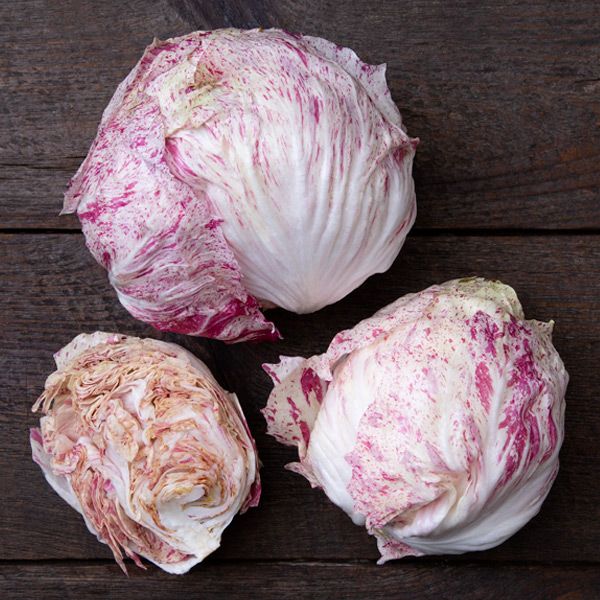 Rosa Scarlatta Radicchio