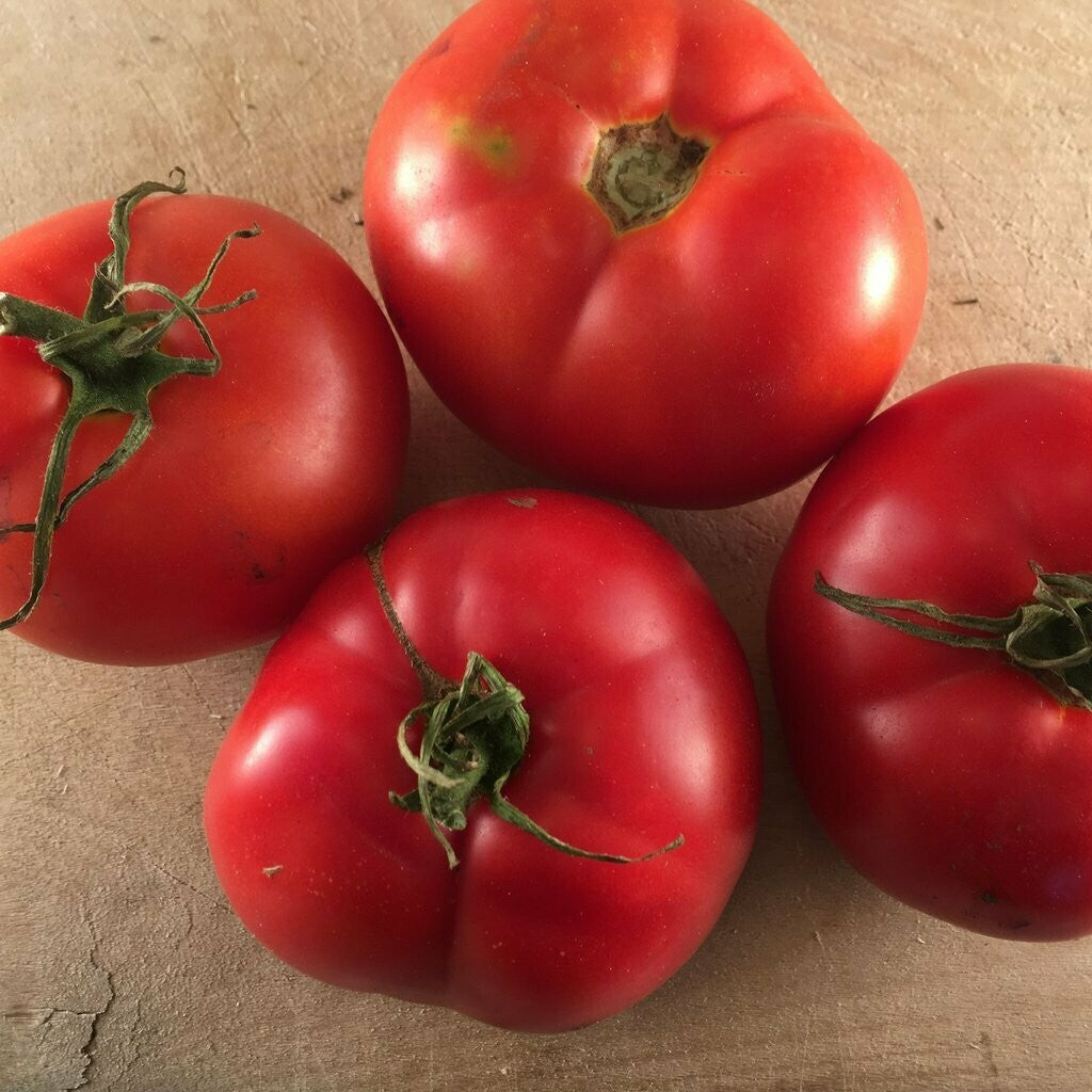 Montreal Tasty Tomato - Organic