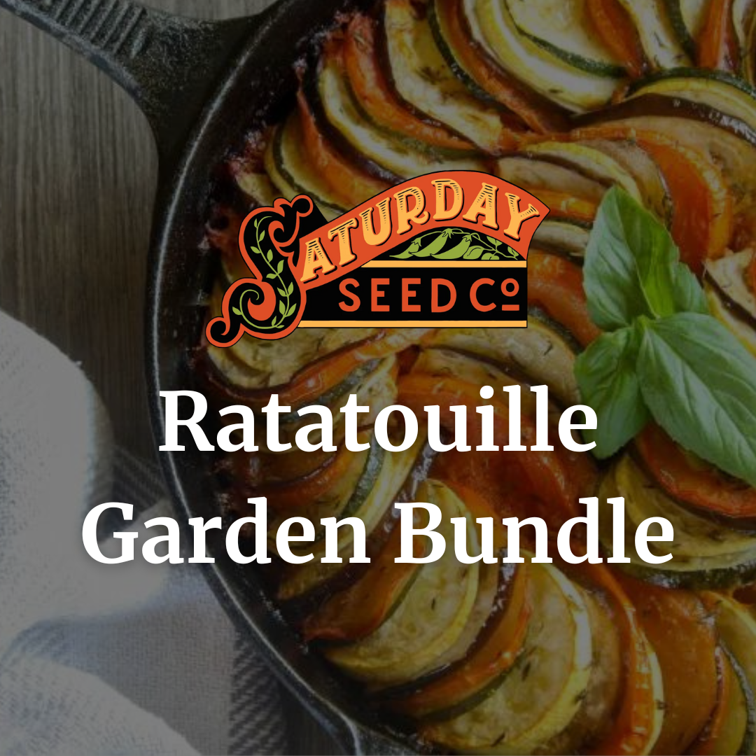 Ratatouille Garden Bundle