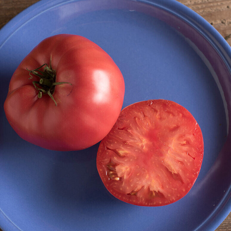 Brandywine Tomato - Organic
