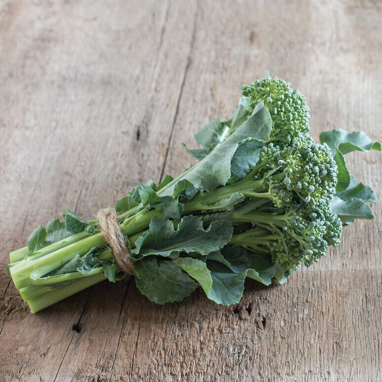 De Cicco Broccoli - Organic