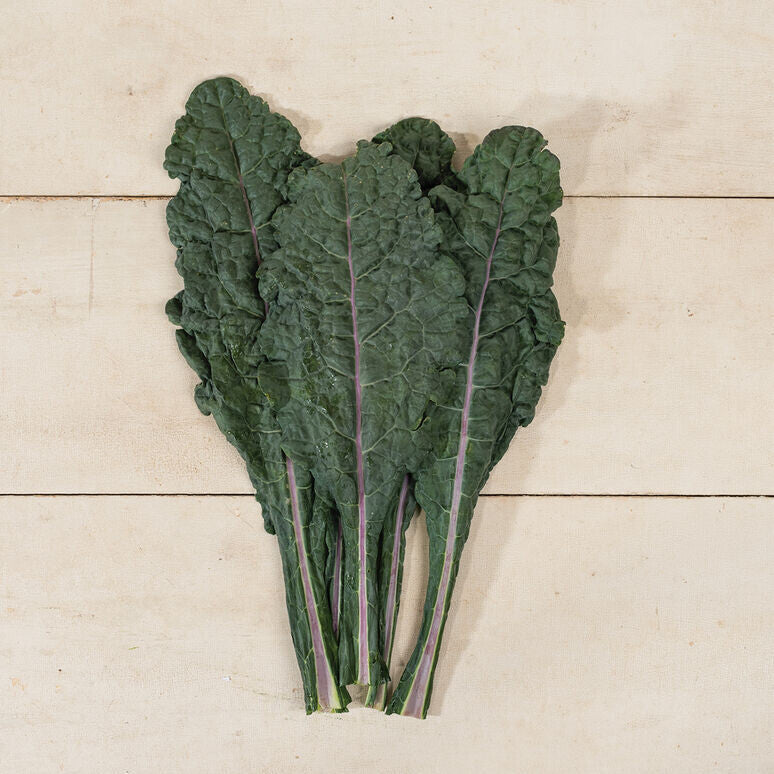Dazzling Blue Kale - Organic