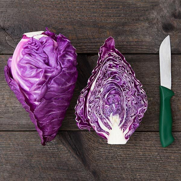 Kalibos Cabbage - Organic