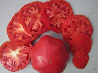 Pruden's Purple Tomato - Organic