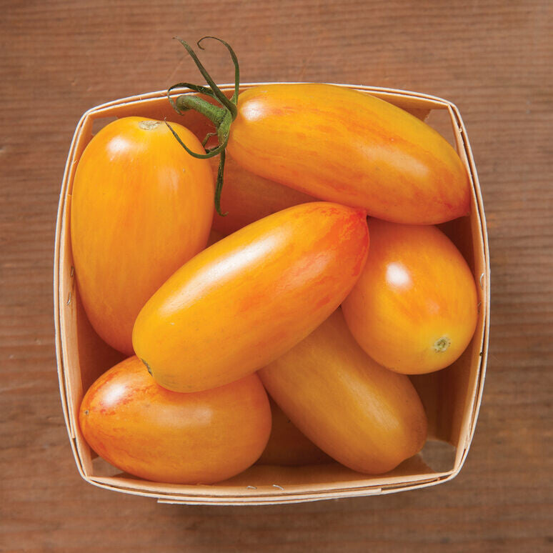 Blush Snacking Tomato - Organic