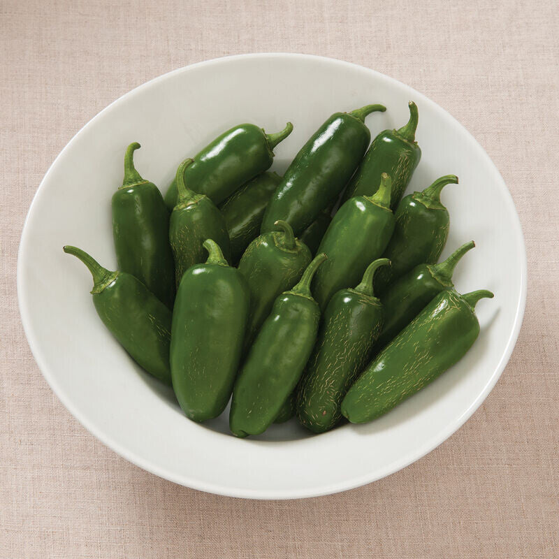 Early Jalapeno hot pepper - Organic
