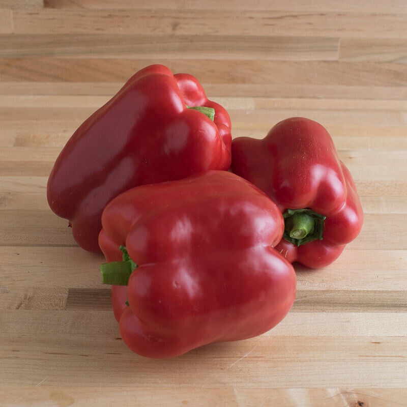 Yankee Bell Sweet Pepper - Organic