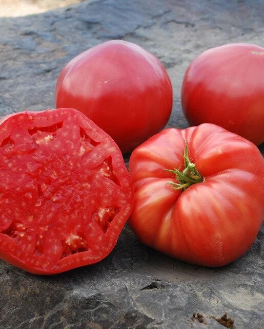 Mortgage Lifter Tomato - Organic