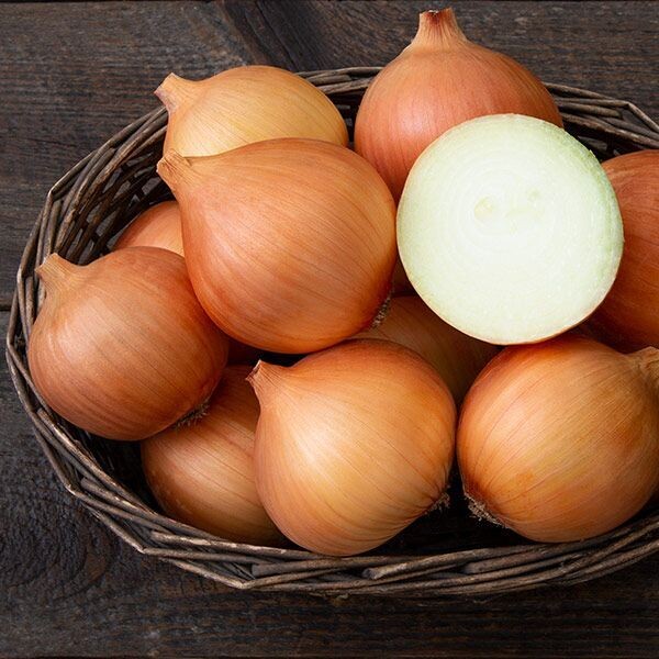 Amber Onion