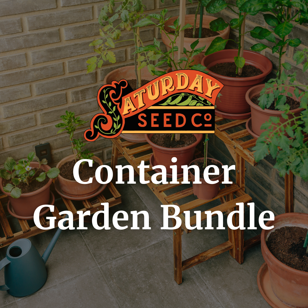 Container Garden Bundle