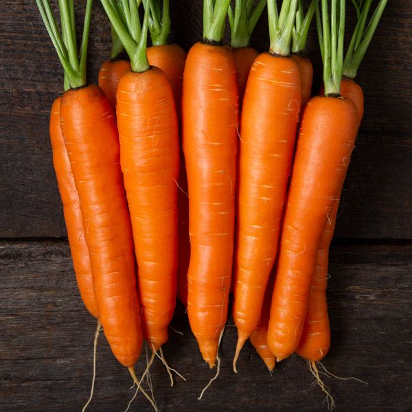 Bollin Carrot - Organic