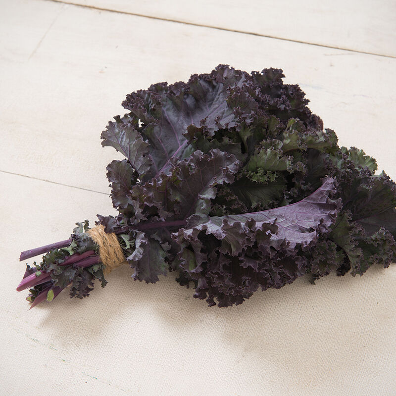 Frisé Rouge Kale - Organic