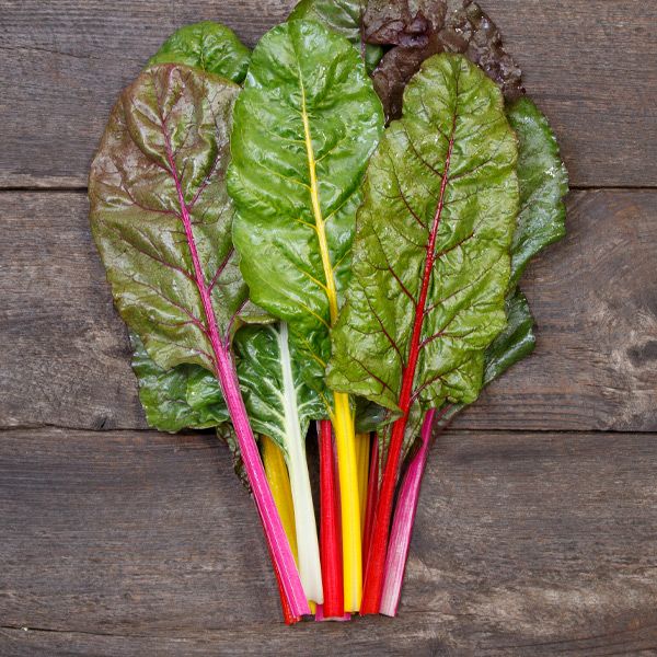 Peacock Formulated Blend Swiss Chard