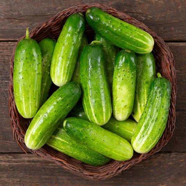 Double Yield Pickling Cucumber