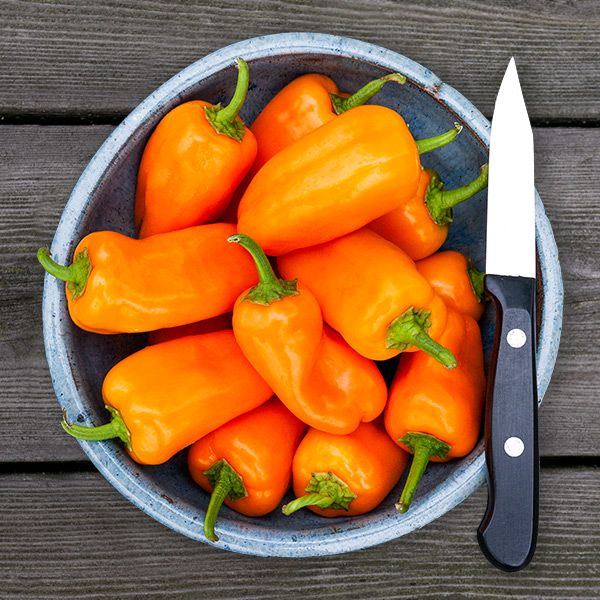 Orange Picnic Pepper - Organic