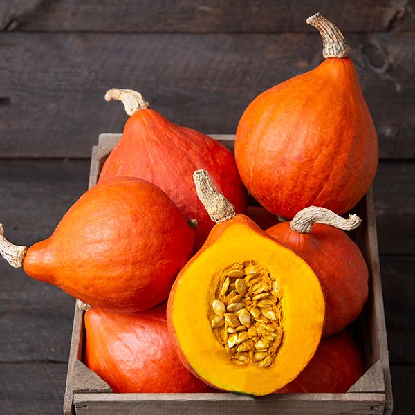 Red Kuri Winter Squash