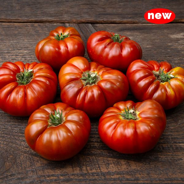 Tasmanian Chocolate Tomato