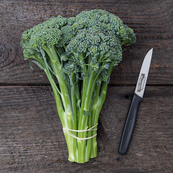 Waltham 29 Broccoli - Organic